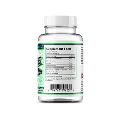 Blaze | Stimulant Fat Burner