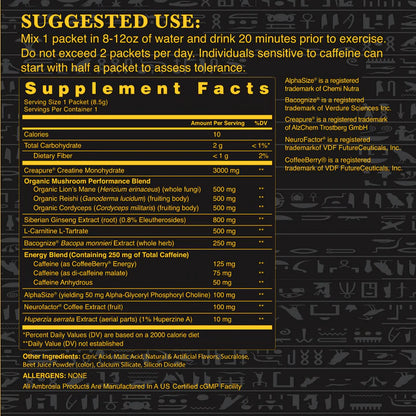 KINETIC MUSHROOM ENHANCED PRE-WORKOUT