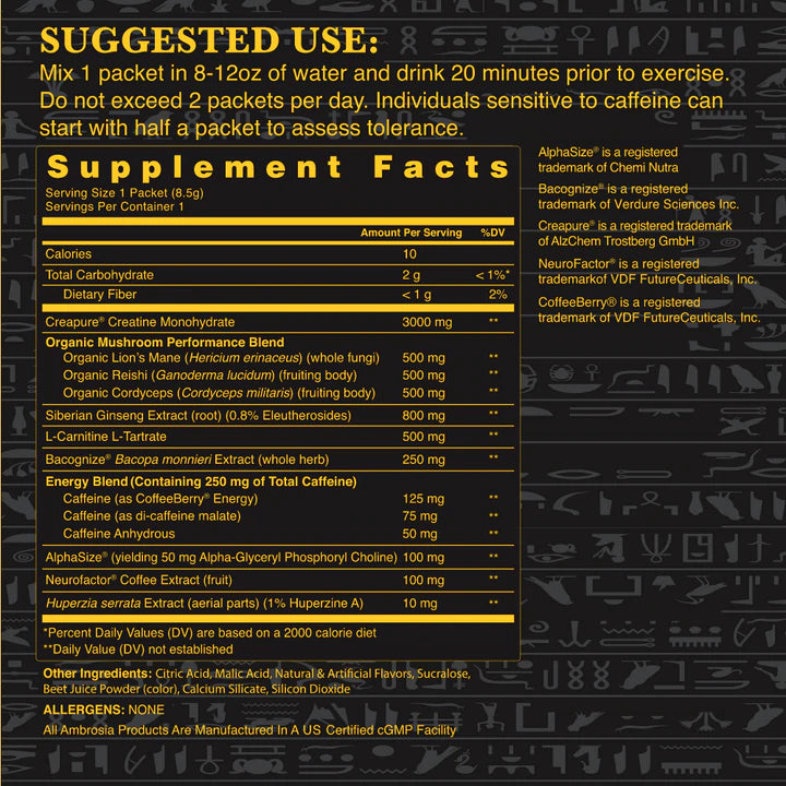 KINETIC MUSHROOM ENHANCED PRE-WORKOUT